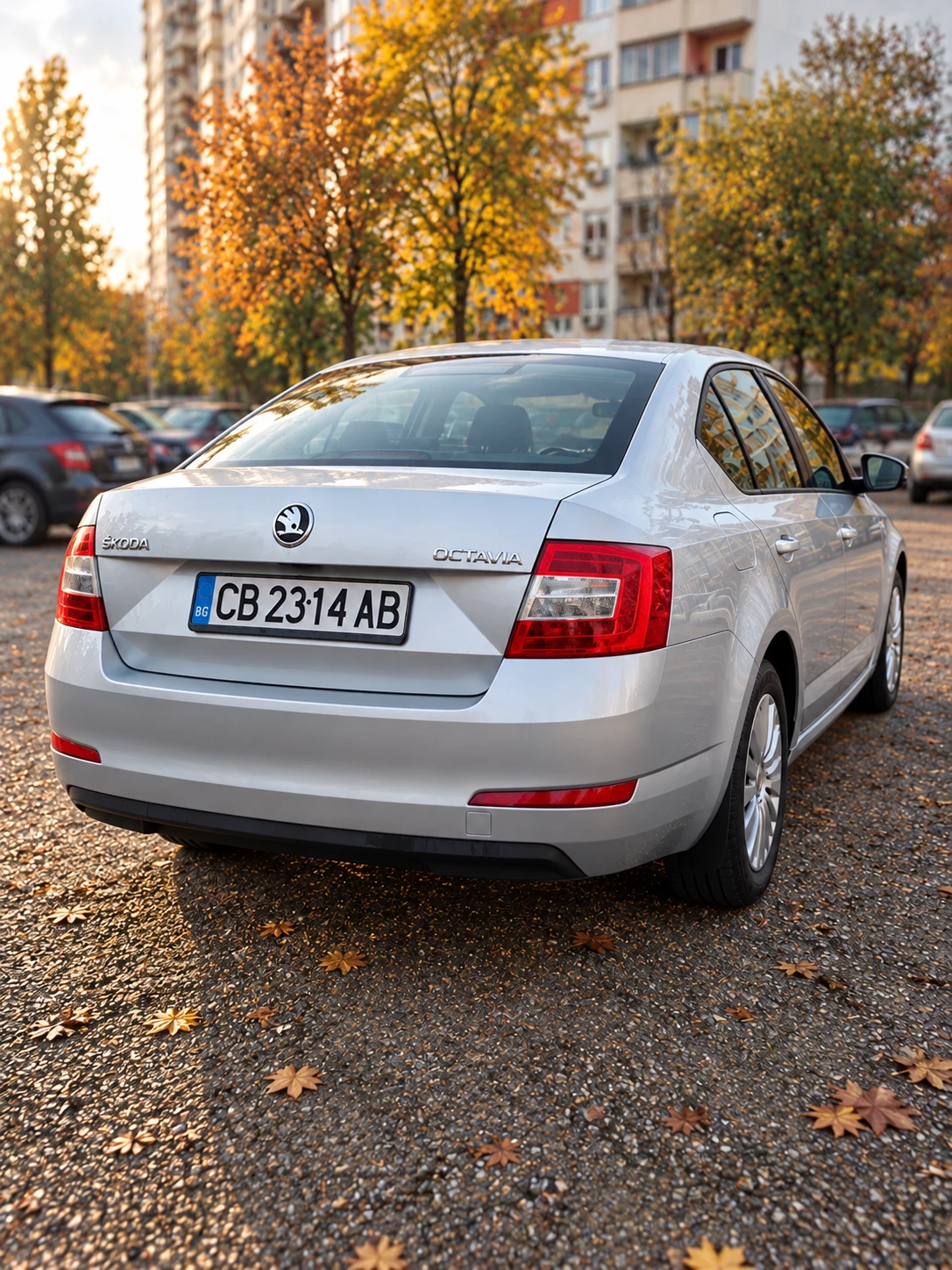 Skoda Octavia, снимка 6 - Автомобили и джипове - 56746461