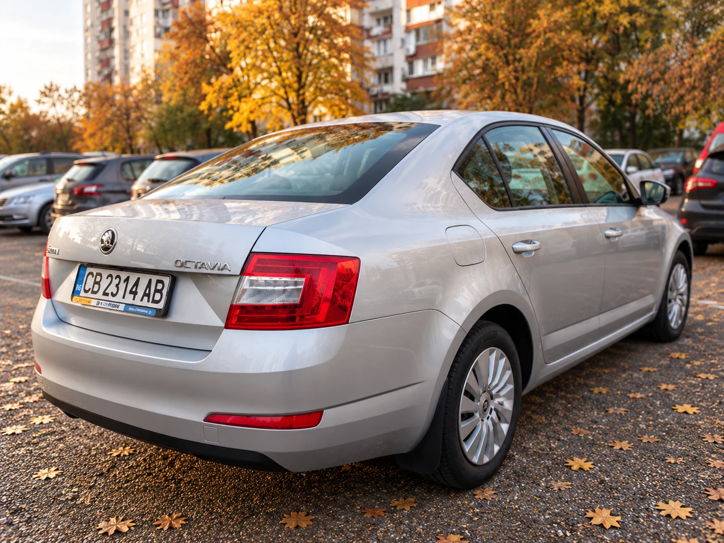 Skoda Octavia, снимка 4 - Автомобили и джипове - 56746461
