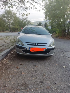 Peugeot 307 Siemens , снимка 3