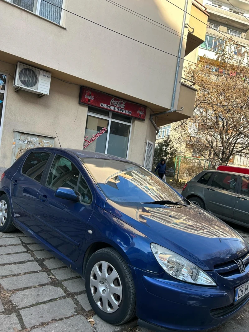 Peugeot 307, снимка 13 - Автомобили и джипове - 49278021