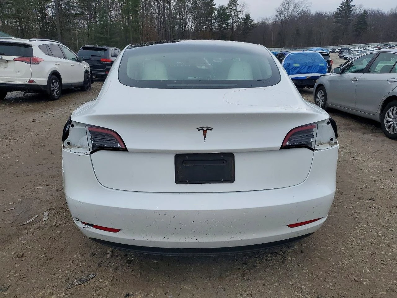 Tesla Model 3 RWD, снимка 6 - Автомобили и джипове - 53904863