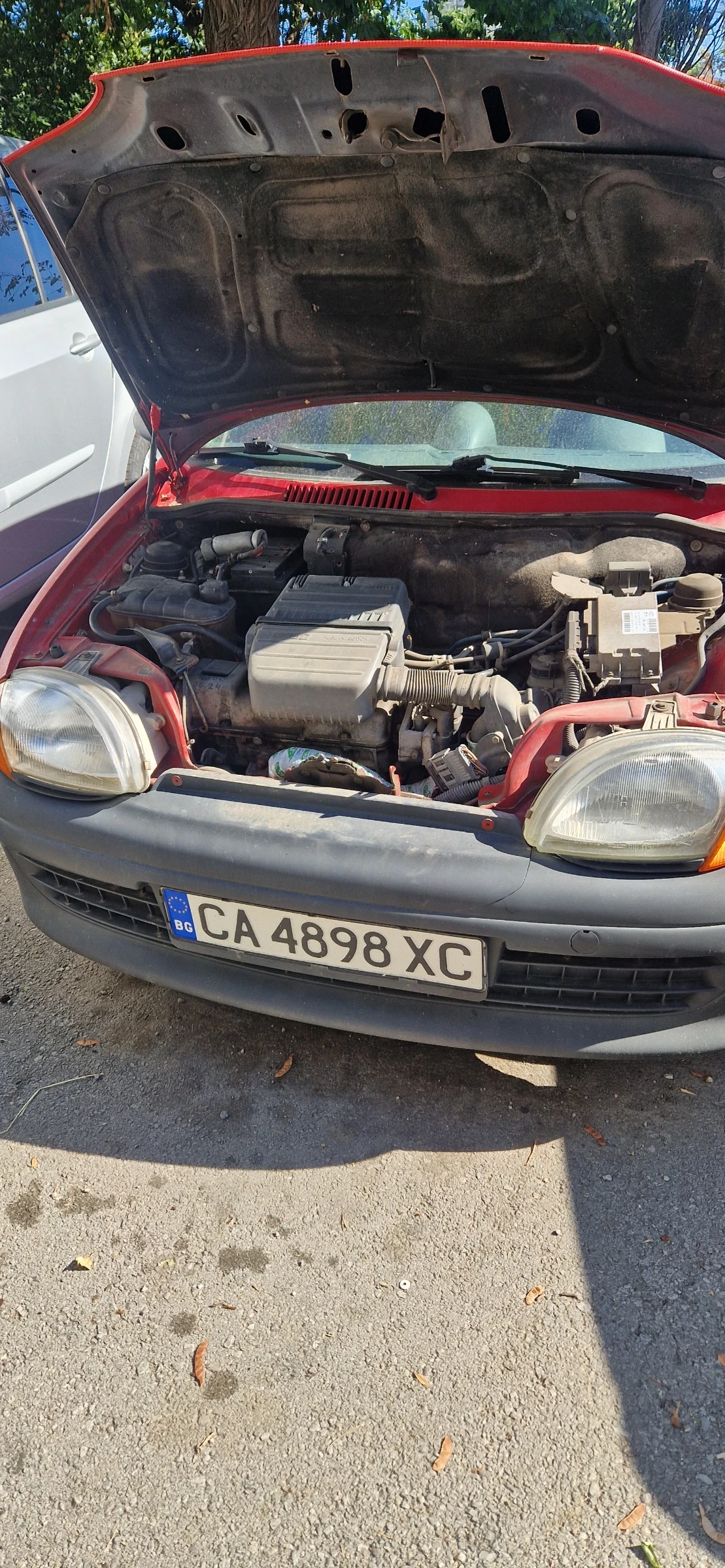 Fiat Seicento �������� | Mobile.bg � ����������� 12