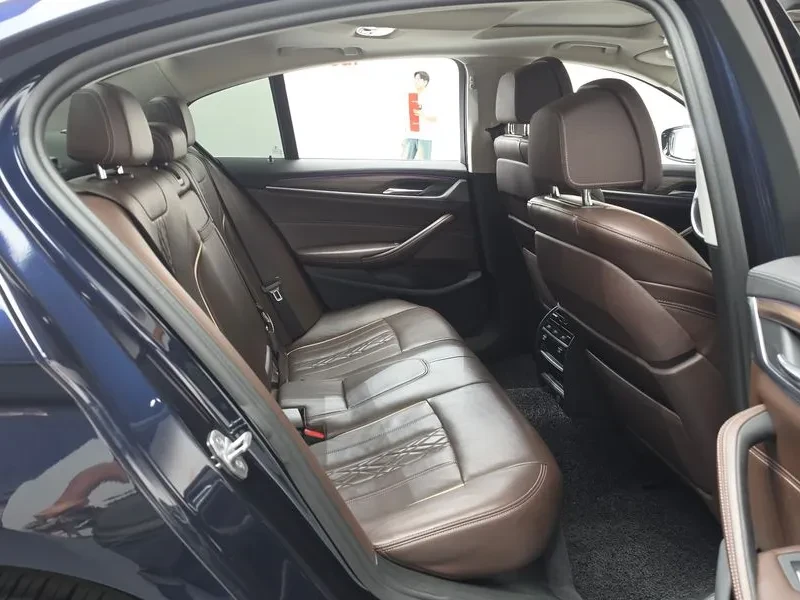 BMW 530 530I XDRIVE LUXURY PLUS, снимка 11 - Автомобили и джипове - 54928265