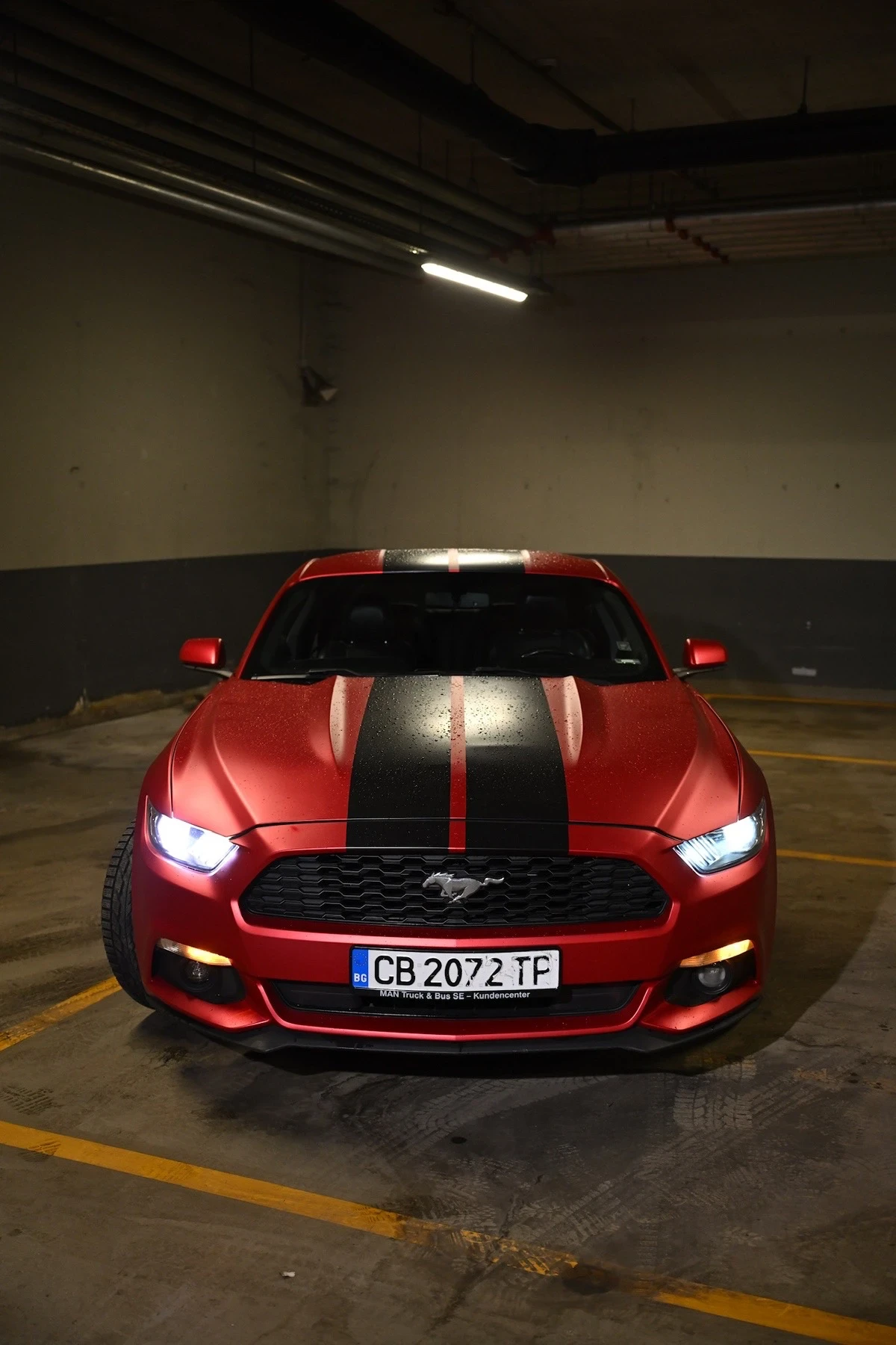 Ford Mustang