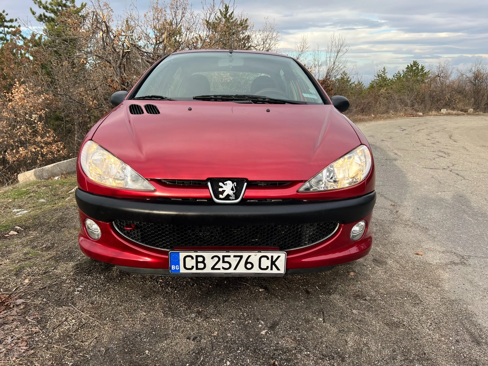 Peugeot 206 седан, газ, БОНУС - изображение 2