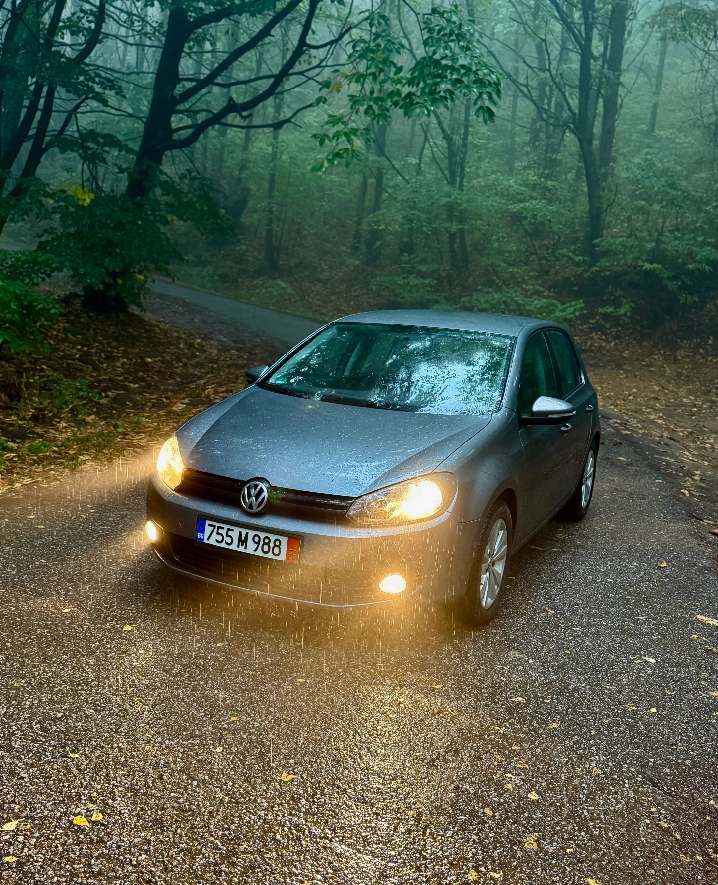 VW Golf 1.6 TDI DSG 105 hp | Mobile.bg   17