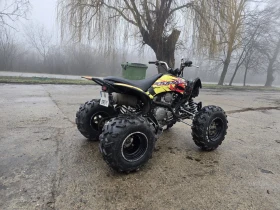 Yamaha Raptor YFM250, снимка 8