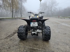 Yamaha Raptor YFM250, снимка 7