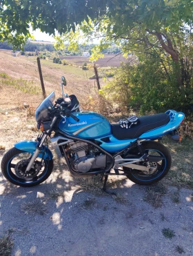 Kawasaki ER, снимка 4