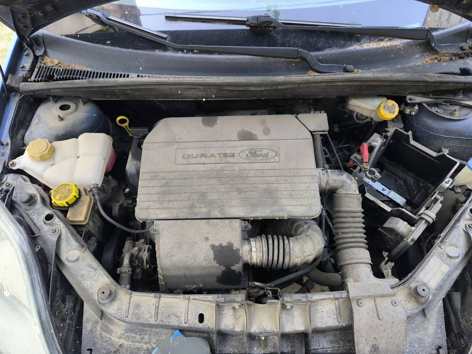 Ford Fiesta, снимка 8 - Автомобили и джипове - 55785828
