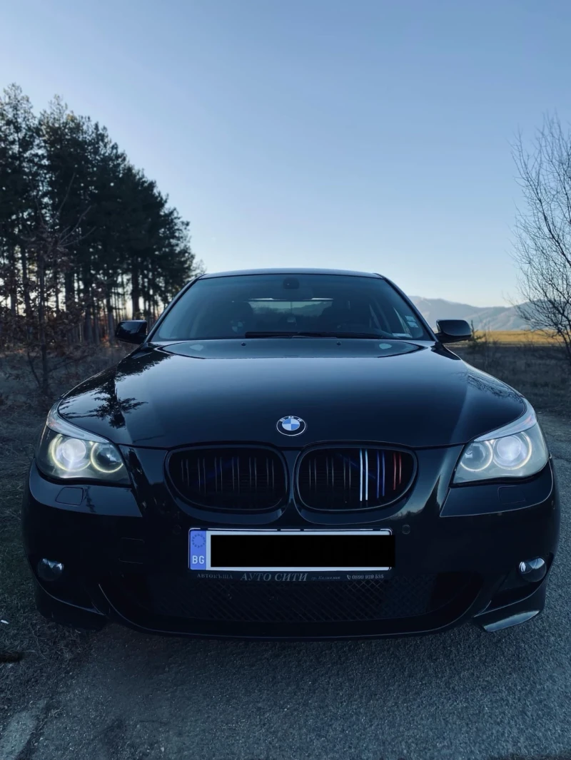 BMW 530, снимка 2 - Автомобили и джипове - 48826014