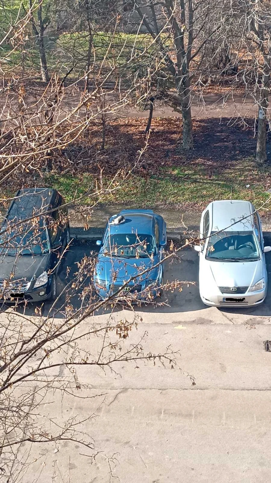 Audi Tt, снимка 8 - Автомобили и джипове - 53836082