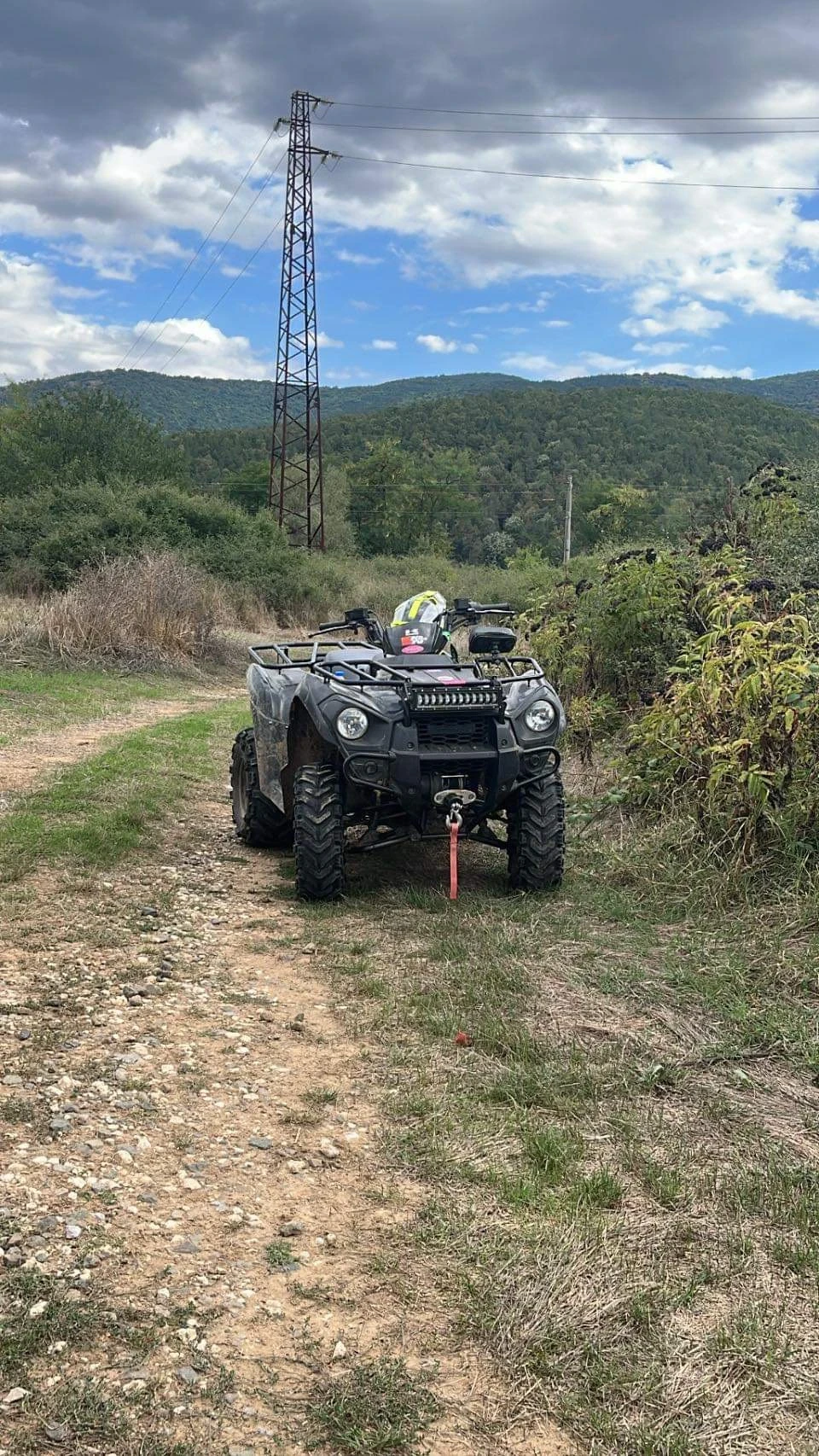 Kawasaki Brute Force  - изображение 10