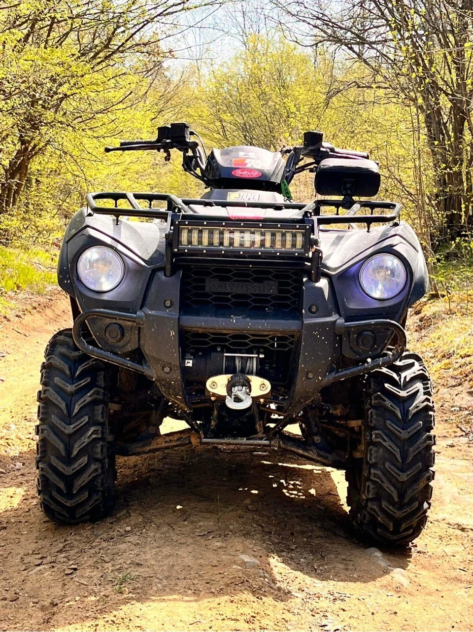 Kawasaki Brute Force  - изображение 9