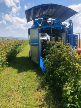 Комбайн OXBO Korvan 9000, снимка 5