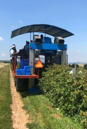 Комбайн OXBO Korvan 9000, снимка 4