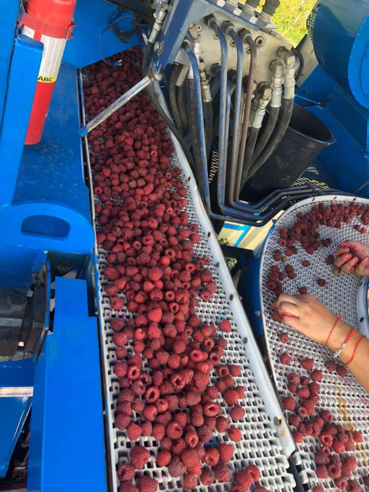 ������� OXBO Korvan 9000 | Mobile.bg � ����������� 11