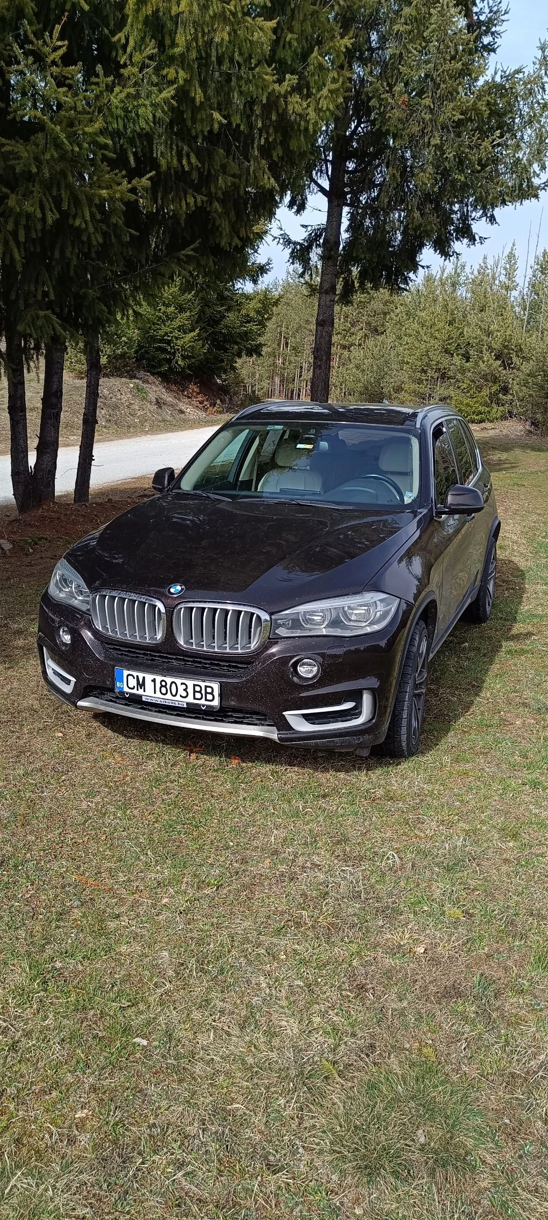 BMW X5 xDrive 3.0dСменени вериги