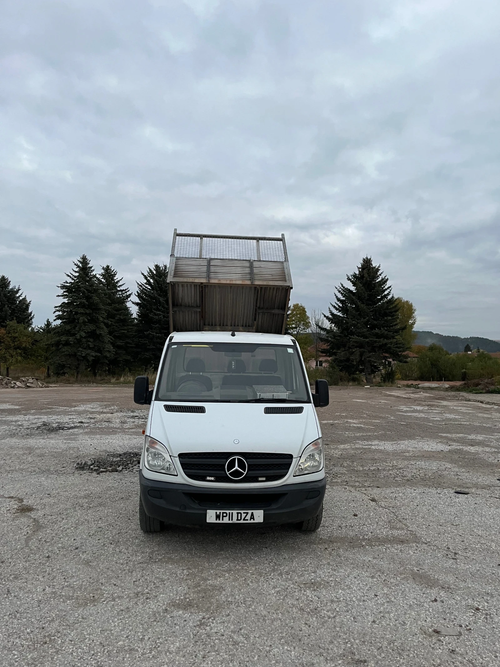 Mercedes-Benz Sprinter 313   ,     | Mobile.bg   14