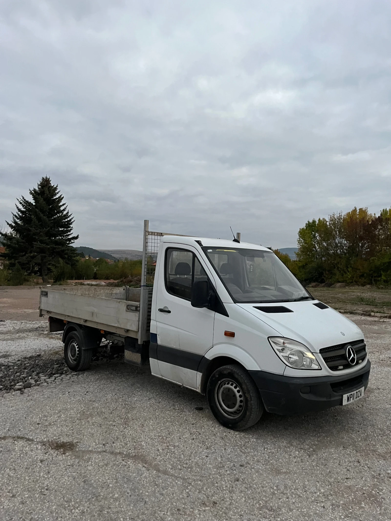 Mercedes-Benz Sprinter 313   ,     | Mobile.bg   1