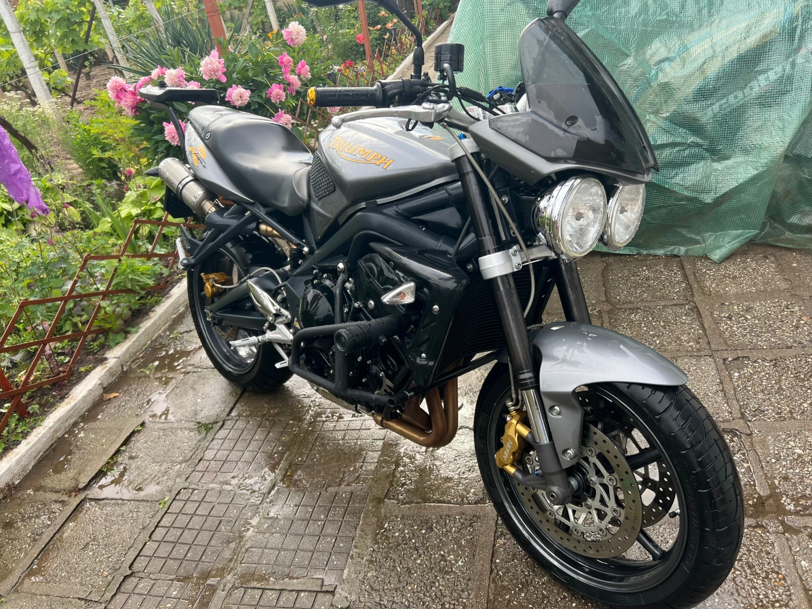 Triumph Speed Triple R - изображение 3