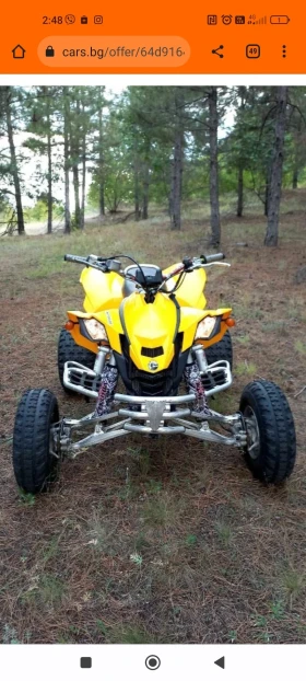     Can-Am DS