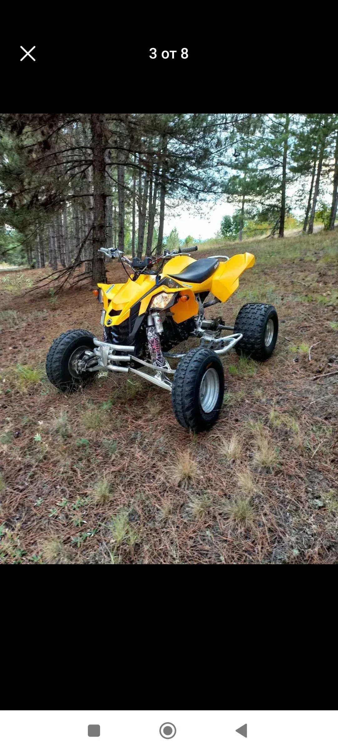 Can-Am DS  - изображение 2