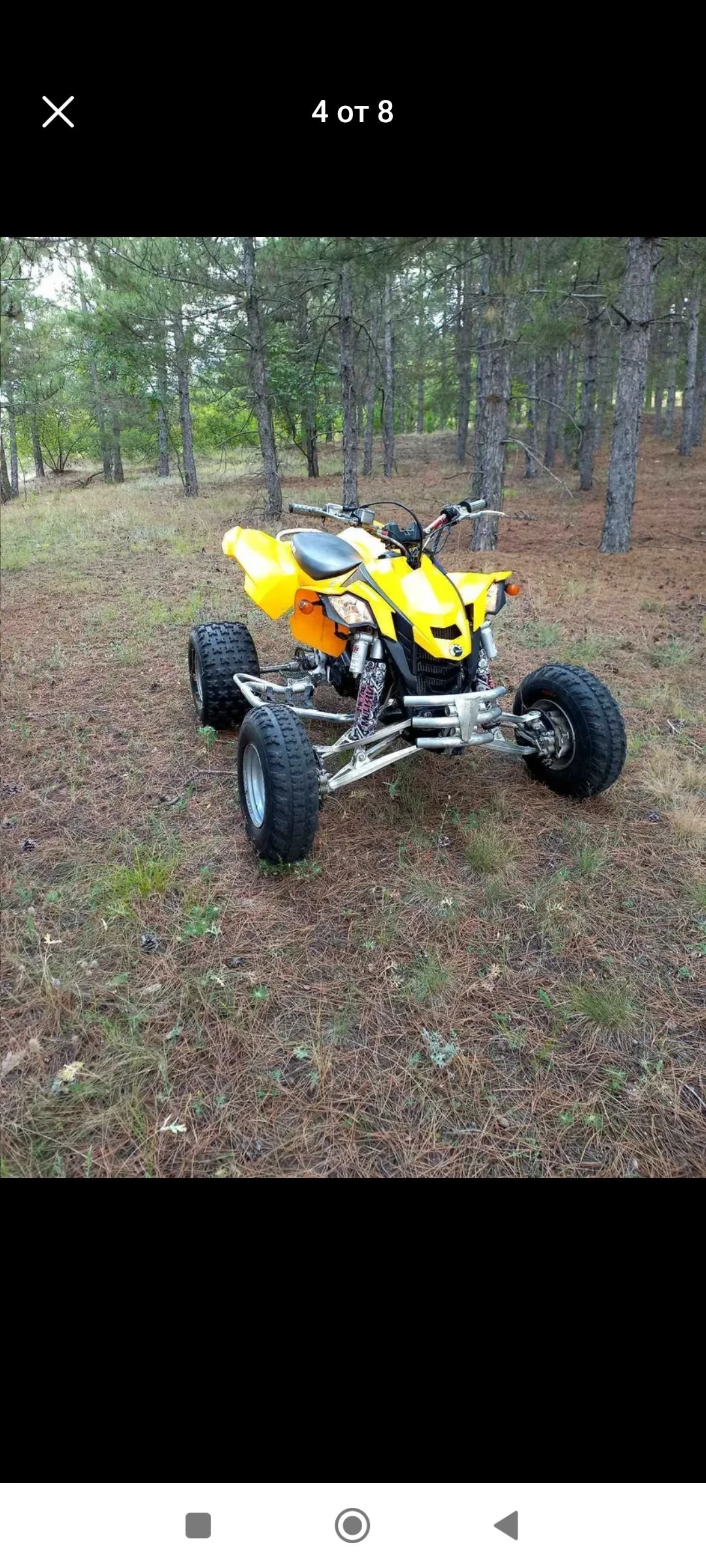 Can-Am DS  - изображение 4