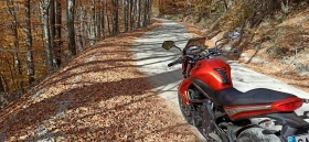 Kawasaki ER 6n | Auto.bg — изображение 2
