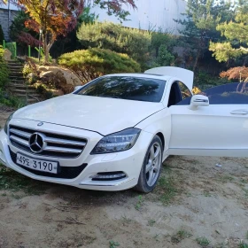 Mercedes-Benz CLS 350 AMG* LINE* TOPCENA* , снимка 5