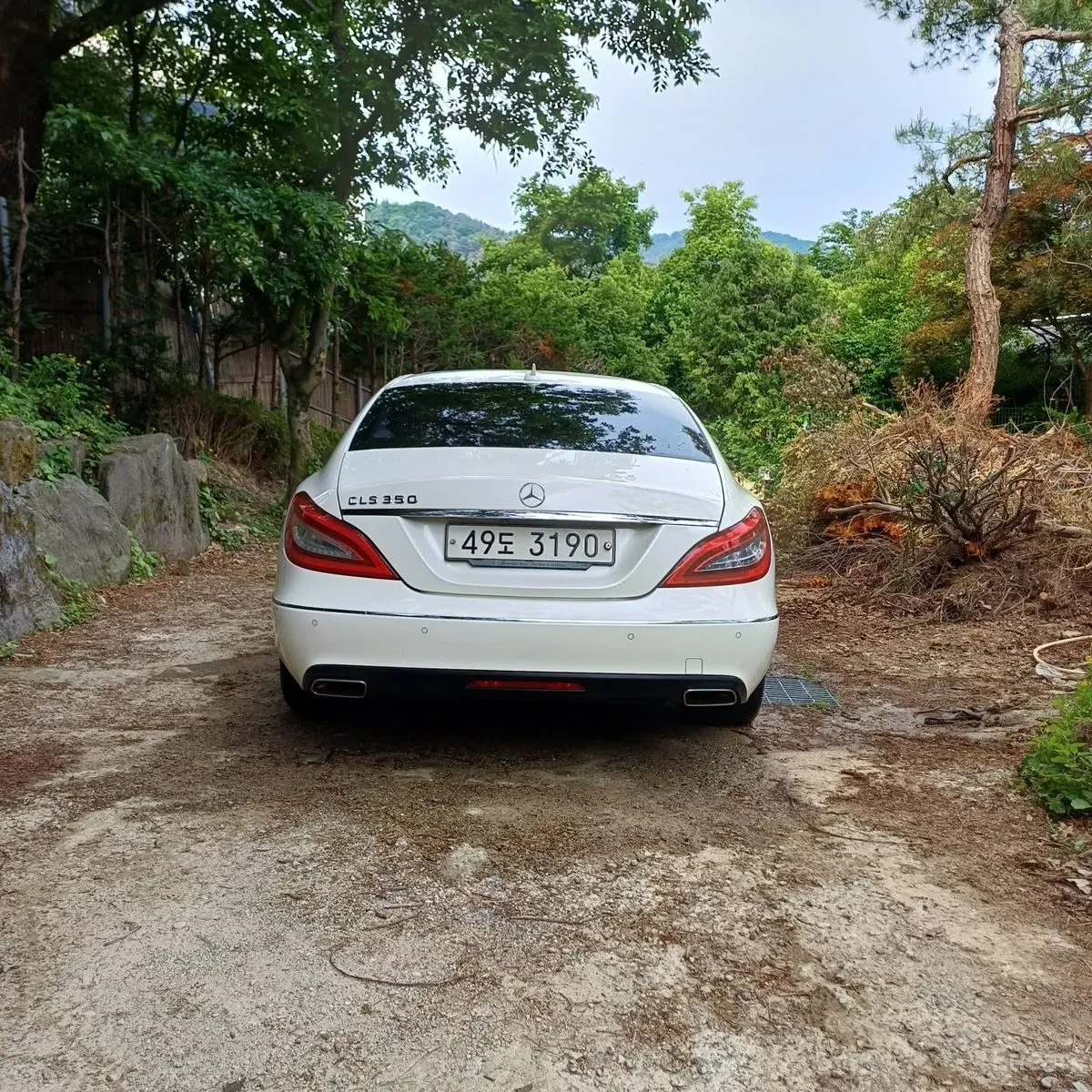Mercedes-Benz CLS 350 AMG* LINE* TOPCENA* , снимка 11 - Автомобили и джипове - 55574976