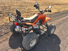 Shineray XY Xy250st-9e, снимка 3