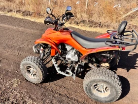 Shineray XY Xy250st-9e, снимка 4