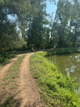 Mercedes-Benz C 180 W203 - 1800 € / 3520.49 лв. - 74362402 6