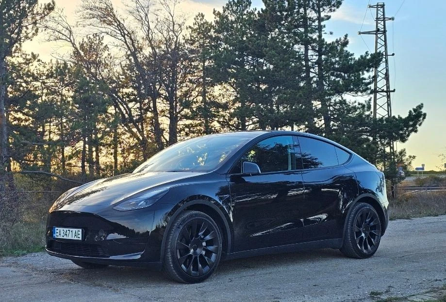 Tesla Model Y LFP Warranty EU, снимка 1