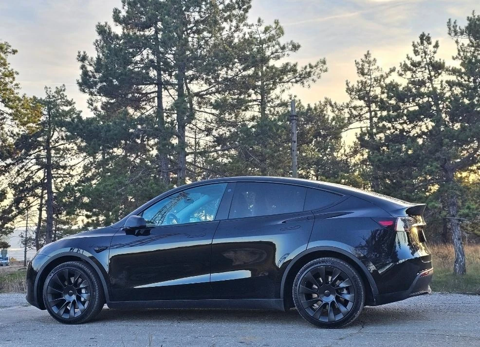 Tesla Model Y LFP Warranty EU - изображение 2