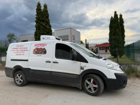 Fiat Scudo Хладилен
