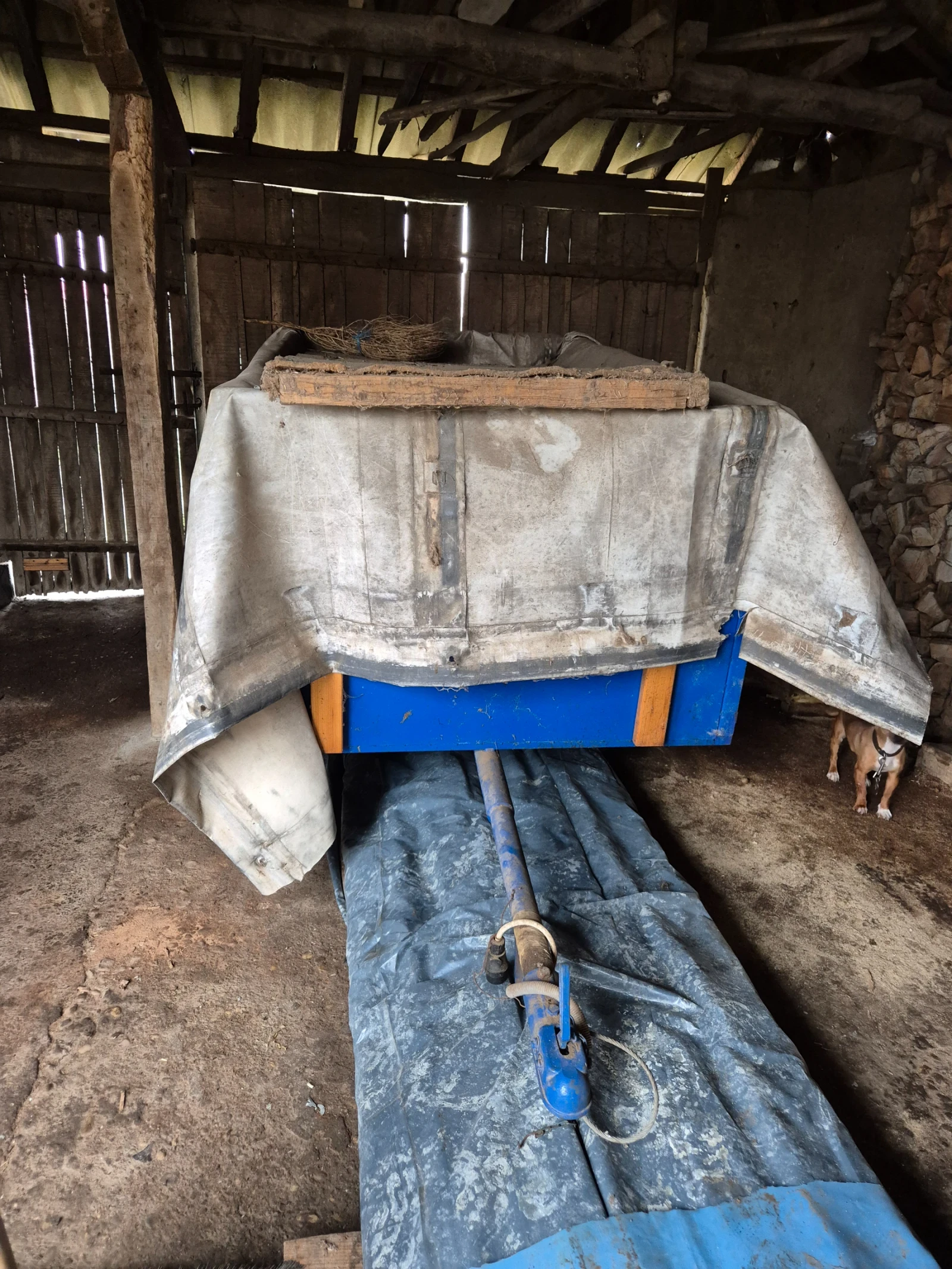 �� ��������� ��������� ������������ ������� | Mobile.bg � ����������� 8