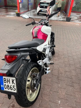 Suzuki Gladius, снимка 6