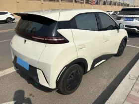 BYD Seagull Dolphin Surf Free, снимка 4