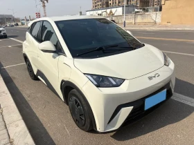 BYD Seagull Dolphin Surf Free, снимка 3