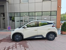 BYD Seagull Dolphin Surf Free НАЛИЧЕН, снимка 5