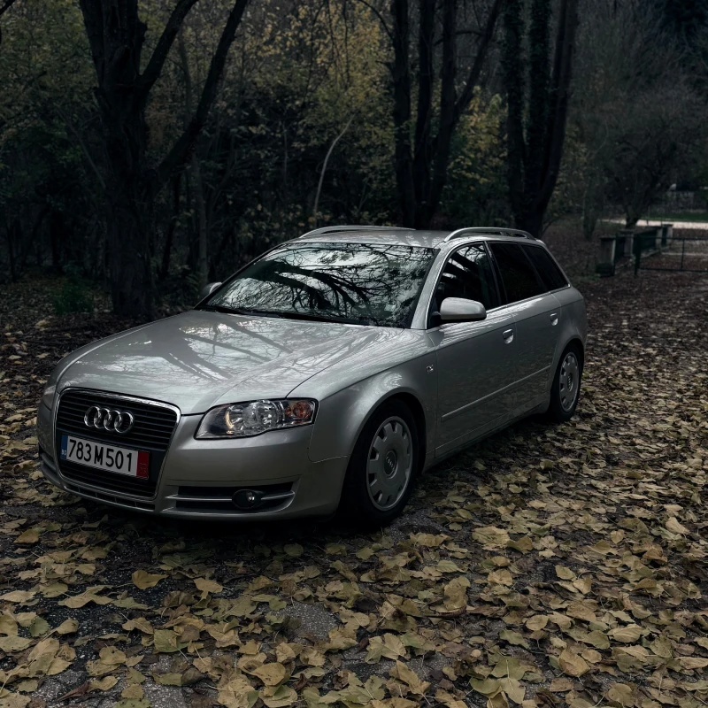 Audi A4 2.0, снимка 2 - Автомобили и джипове - 52392177