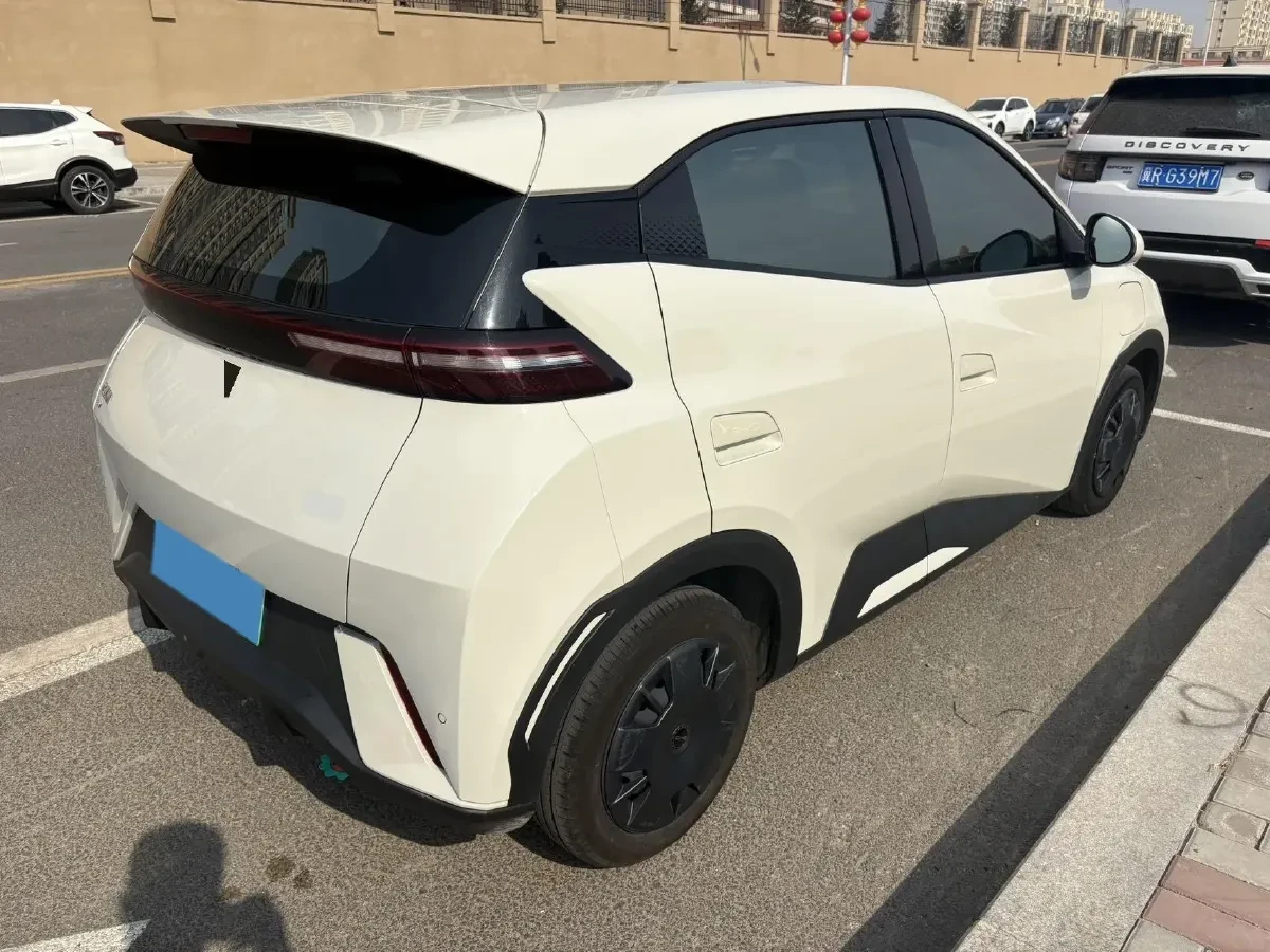 BYD Seagull Dolphin Surf Free, снимка 4 - Автомобили и джипове - 54165126