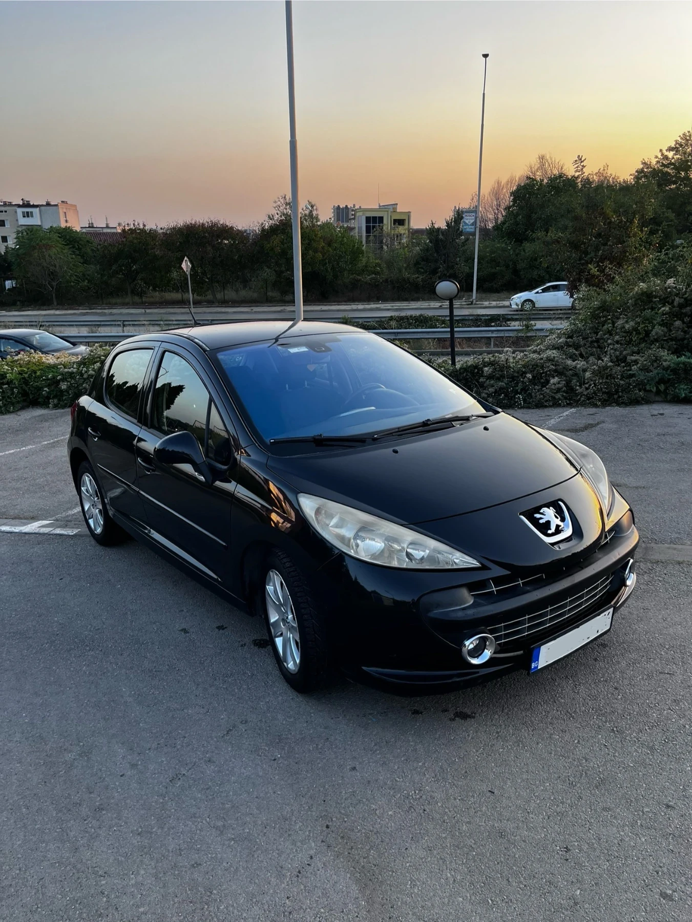 Peugeot 207 1.6 HDI - изображение 3