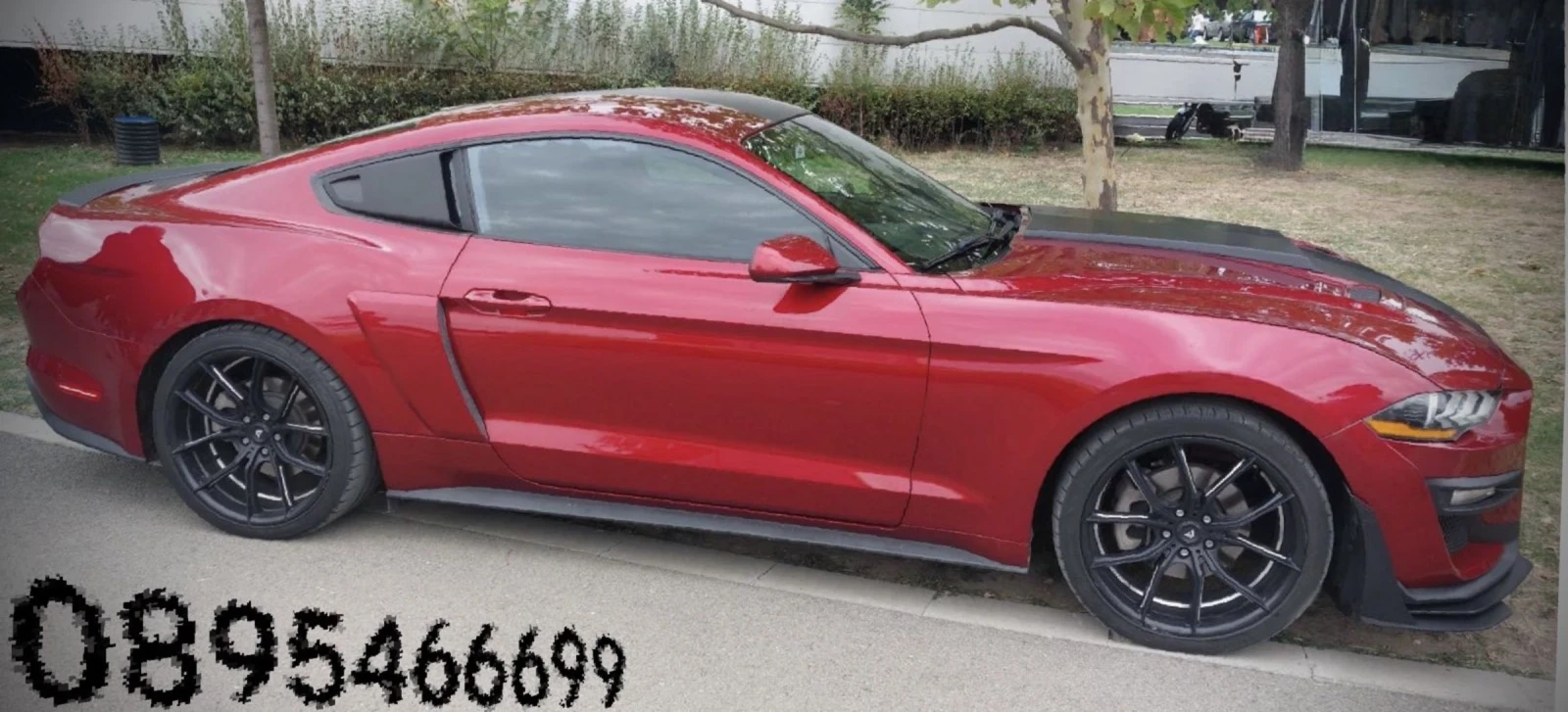 Ford Mustang  - изображение 7