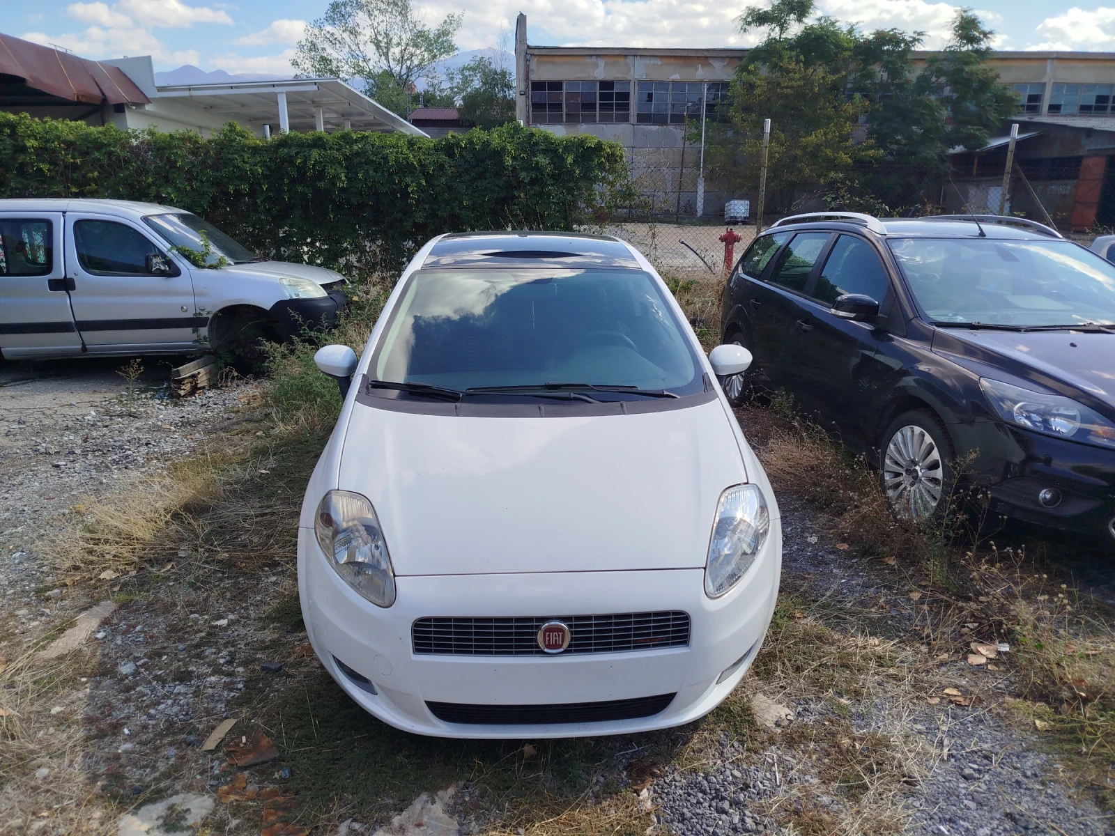 Fiat Punto