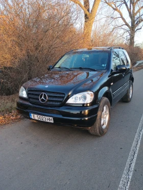 Mercedes-Benz ML 270, снимка 1