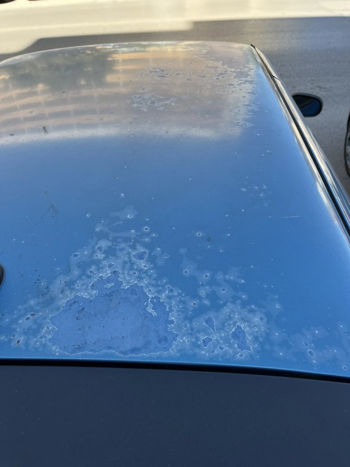 Renault Clio, снимка 6 - Автомобили и джипове - 54195144