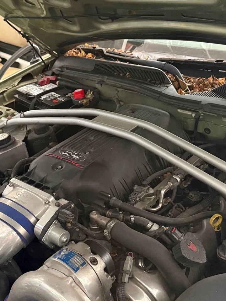 Ford Mustang * GT V8 5-Speed Manual* ����������*  | Mobile.bg � ����������� 9